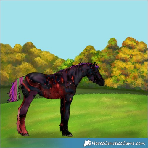 Horse Color:ERROR: UNKNOWN ANOMALY