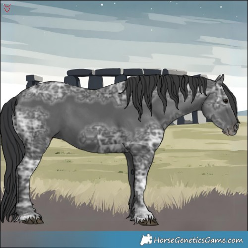 Horse Color:Black Ice