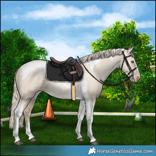 Horse Color:Chocolate Palomino Snowdrop Dun Tobiano