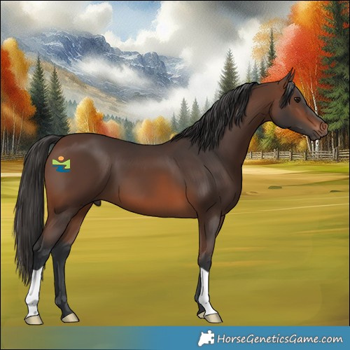 Horse Color:Brown 