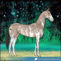 Horse Color:Brown Dun Sabino 