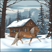 Horse Color:White Spotted Chocolate Palomino Tobiano 
