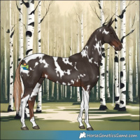 Horse Color:White Spotted Liver Chestnut Tobiano 