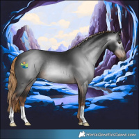 Horse Color:Gray Liver Chestnut 