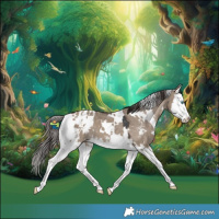 Horse Color:White Spotted Brown Dun Sabino Splash Blanket