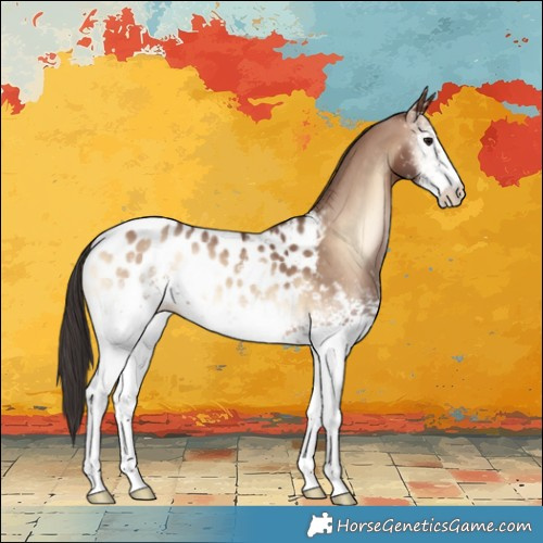 Horse Color:White Spotted Sable Champagne Onyx Blanket 