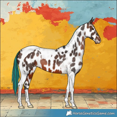 Horse Color:Painted Brown Tobiano Near Leopard 