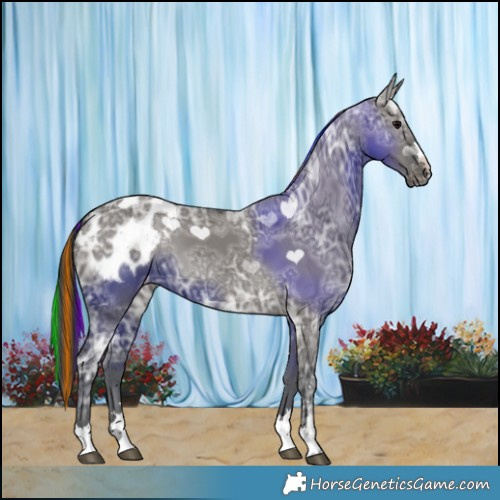 Horse Color:Painted Grullo Ice Appaloosa 