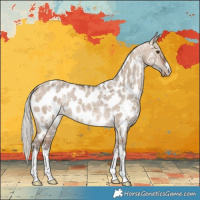 Horse Color:White Spotted Silver Brown Ice Dun Near Leopard Rabicano 