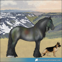 Horse Color:Black Varnish Rabicano 