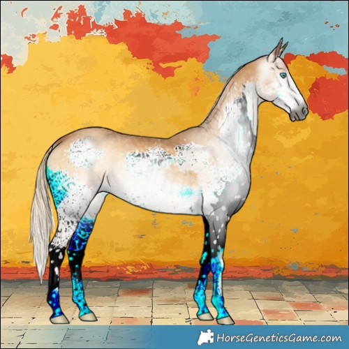 Horse Color:Gray Palomino Onyx Splash 