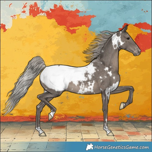 Horse Color:White Spotted Silver Black Snowcap 