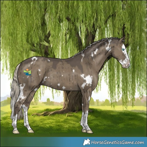 Horse Color:White Spotted Silver Smoky Grullo Splash Brindle 