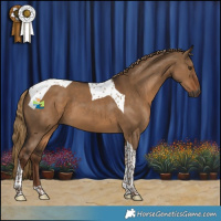 Horse Color:Gray Liver Red Dun Tobiano 