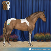 Horse Color:Gray Liver Red Dun Tobiano 
