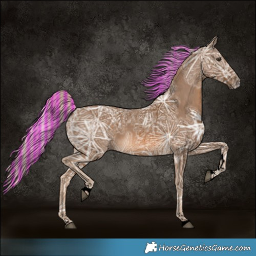 Horse Color:Void Painted Chocolate Palomino Ice Tobiano 