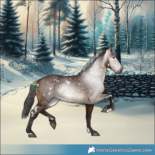 Horse Color:Gray White Spotted Bay 