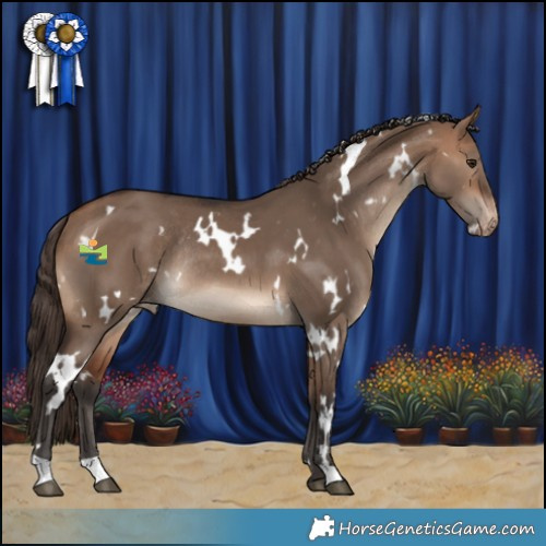 Horse Color:White Spotted Bay Dun Appaloosa Rabicano 