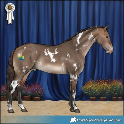 Horse Color:White Spotted Bay Dun Appaloosa Rabicano 