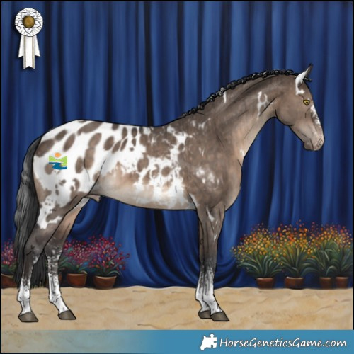 Horse Color:White Spotted Brown Dun Sabino Appaloosa Brindle 