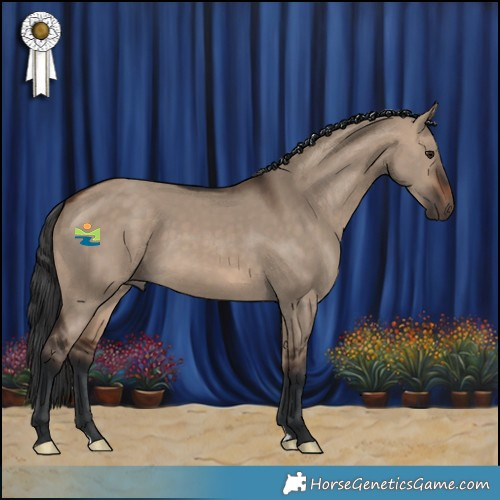 Horse Color:Brown Dun 