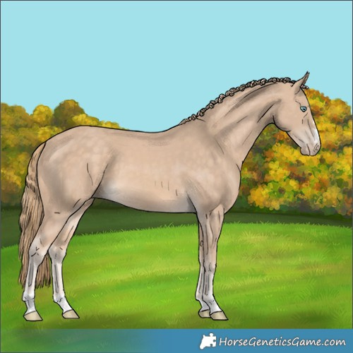 Horse Color:Perlino 