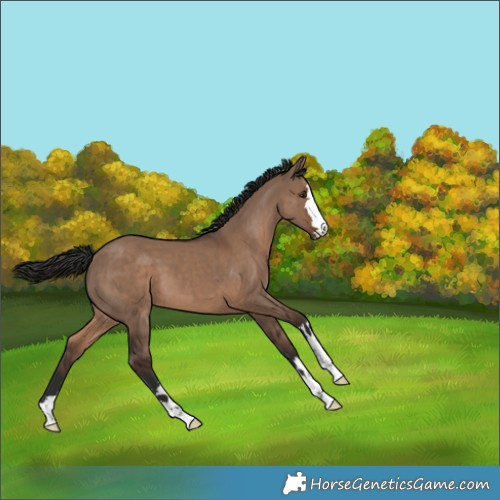 Horse Color:Liver Red Dun
