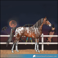 Horse Color:Powder White Bay Skewed LP Spotted 