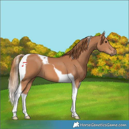 Horse Color:Chestnut Tobiano 