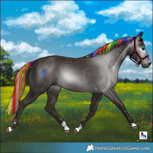Horse Color:Gray Painted Silver Black 