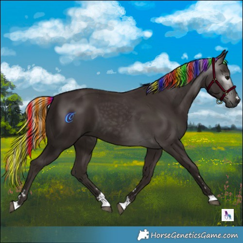 Horse Color:Gray Painted Silver Black 