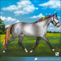 Horse Color:Gray Painted Silver Black 