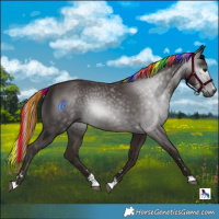 Horse Color:Gray Painted Silver Black