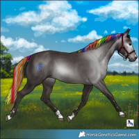 Horse Color:Gray Painted Silver Black 
