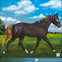 Horse Color:Gray Painted Silver Black 