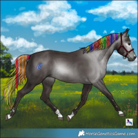 Horse Color:Gray Painted Silver Black 