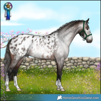 Horse Color:Gray Bay Blanket 
