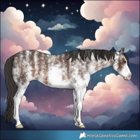 Horse Color:White Spotted Liver Chestnut Varnish