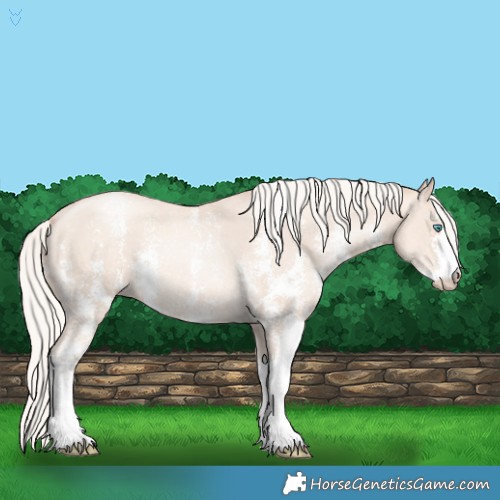 Horse Color:Gold Cream Champagne Pearl Sabino