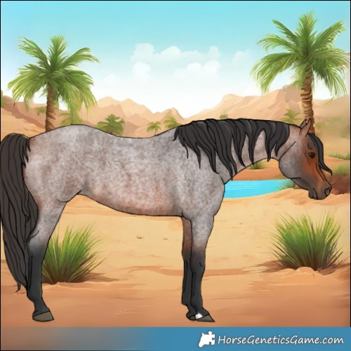 Horse Color:Bay Roan