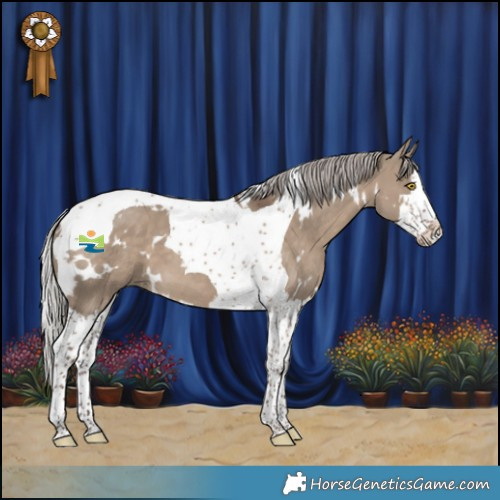 Horse Color:White Spotted Silver Grullo Splash Tobiano 