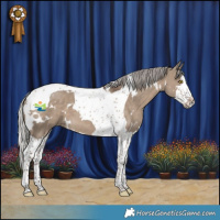 Horse Color:White Spotted Silver Grullo Splash Tobiano