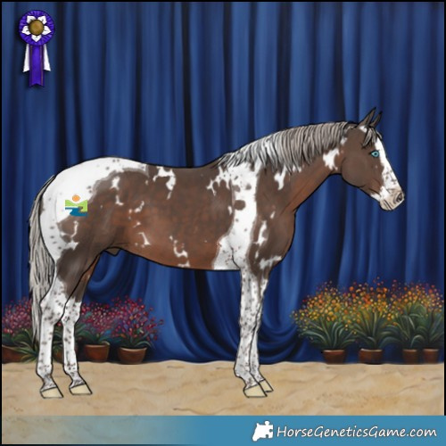 Horse Color:White Spotted Silver Black Splash Tobiano