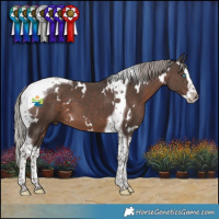 Horse Color:White Spotted Silver Black Splash Tobiano