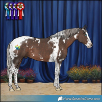 Horse Color:White Spotted Silver Black Splash Tobiano 