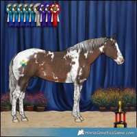 Horse Color:White Spotted Silver Black Splash Tobiano