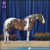 Horse Color:White Spotted Silver Black Splash Tobiano 