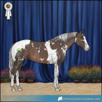 Horse Color:White Spotted Silver Black Splash Tobiano
