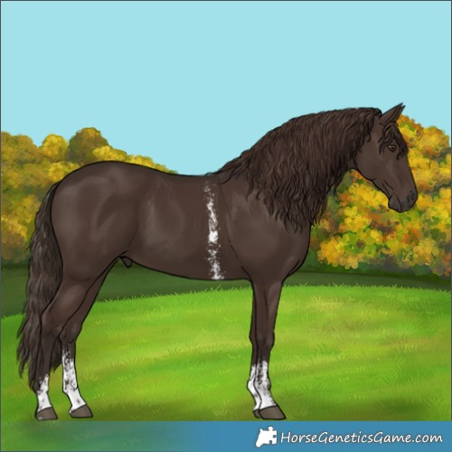 Horse Color:Liver Chestnut Sabino