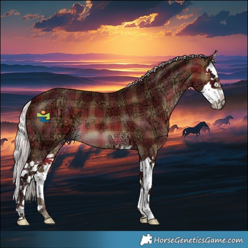 Horse Color:Plaid  Silver Brown Ice Splash 